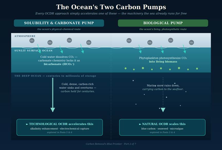 We Can’t Cut Our Way to Net Zero